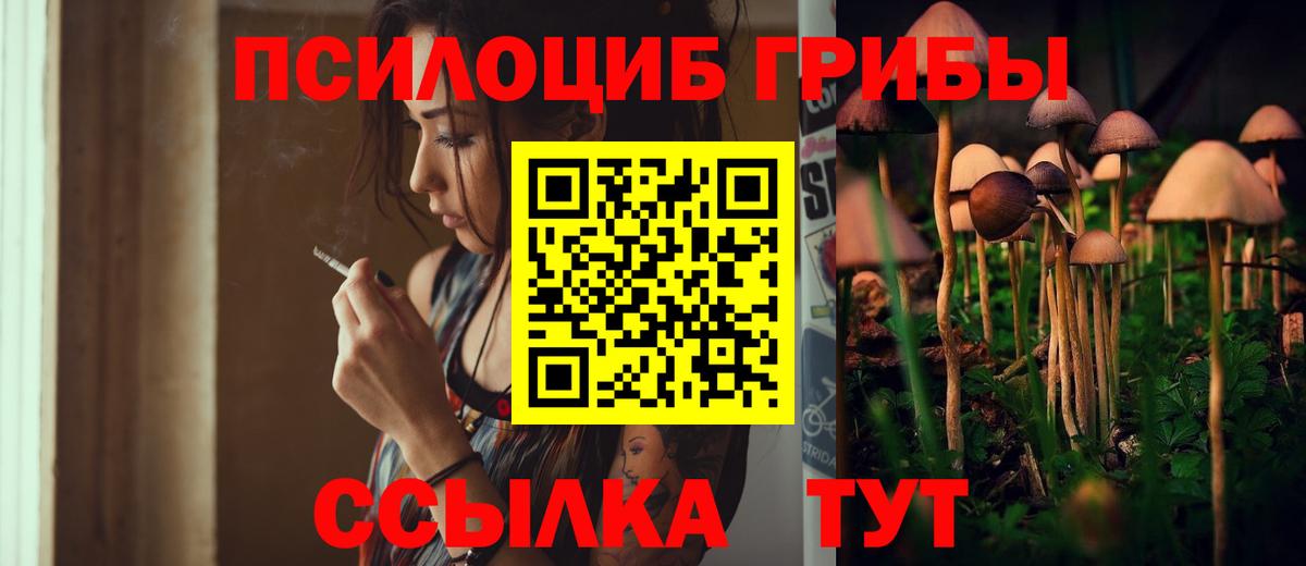 Псилоцибиновые грибы MAGIC MUSHROOMS  Вход с VPN  купить наркотик  Псилоцибиновые грибы GOLDEN TEACHER  Ишим 